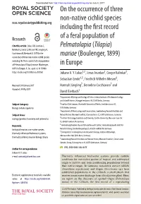 On the Occurrence of Three Non-Native Cichlid Species Including the First