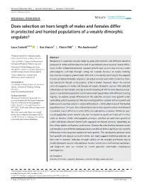 Does Selection on Horn Length of Males and Females Differ in Protected and Hunted Populations of a Weakly Dimorphic Ungulate?