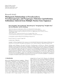 Phylogenetic Relationships of Pseudorasbora, Pseudopungtungia,Andpungtungia (Teleostei; Cypriniformes; Gobioninae) Inferred from Multiple Nuclear Gene Sequences
