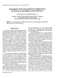 Examination of the Type Specimens of Zephyrus Pavo De Niceville and Zephyrus Zoa De Niceville