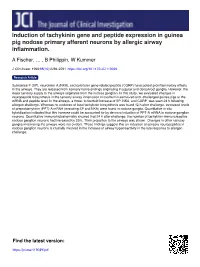 Induction of Tachykinin Gene and Peptide Expression in Guinea Pig Nodose Primary Afferent Neurons by Allergic Airway Inflammation