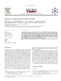 Inhibition of Adipocyte Differentiation by Rorα