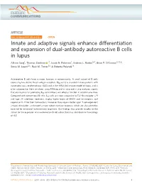 Innate and Adaptive Signals Enhance Differentiation and Expansion of Dual-Antibody Autoreactive B Cells in Lupus