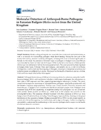 Molecular Detection of Arthropod-Borne Pathogens