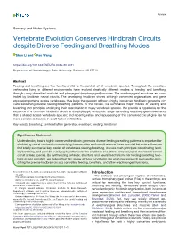 Vertebrate Evolution Conserves Hindbrain Circuits Despite Diverse Feeding and Breathing Modes