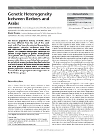 "Genetic Heterogeneity Between Berbers and Arabs" In