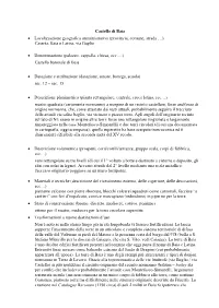 (Provincia, Comune, Strada …) Caserta, Baia E Latina, Via Baglio