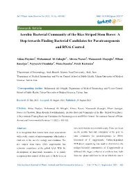 Aerobic Bacterial Community of the Rice Striped Stem Borer: a Step Towards Finding Bacterial Candidates for Paratransgenesis and Rnai Control