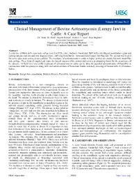 Lumpy Jaw) in Cattle: a Case Report Dr