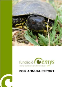 2019 ANNUAL REPORT Emys Foundation