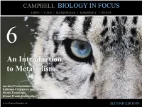 An Introduction to Metabolism