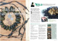 Eggwrack Seafood Parcels Are Collecting for Your Own Consumption Or for Sale (Please Don’T Do the Latter!)