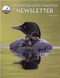 Newsletter Summer 2018