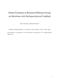 Pattern Formation in Reaction-Diffusion System on Membrane with Mechanochemical Feedback