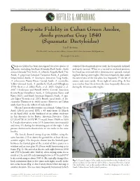 Sleep-Site Fidelity in Cuban Green