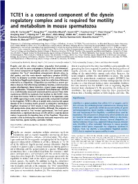 TCTE1 Is a Conserved Component of the Dynein Regulatory Complex and Is Required for Motility and Metabolism in Mouse Spermatozoa