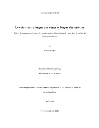 Le Chiac: Entre Langue Des Jeunes Et Langue Des Ancêtres