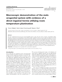 Macroscopic Demonstration of the Male Urogenital System with Evidence of a Direct Inguinal Hernia Utilizing Room Temperature Plastination