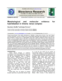 Morphological and Molecular Evidence for Hybridization in Grewia Tenax Complex