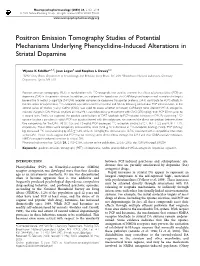 Positron Emission Tomography Studies of Potential Mechanisms Underlying Phencyclidine-Induced Alterations in Striatal Dopamine
