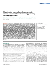 Mapping the Mammalian Ribosome Quality Control Complex Interactome Using Proximity Labeling Approaches