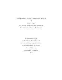 Determinants in K-Theory and Operator Algebras