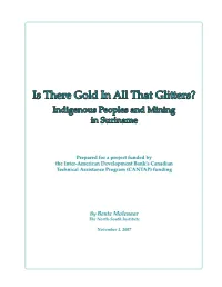 Is There Gold in All That Glitters? Indigenous Peoples and Mining in Suriname