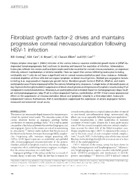 Fibroblast Growth Factor-2 Drives and Maintains Progressive Corneal Neovascularization Following HSV-1 Infection