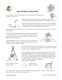 How to Plant a Breadfruit Tree