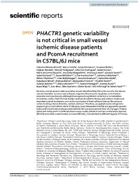 PHACTR1 Genetic Variability Is Not Critical in Small Vessel Ischemic