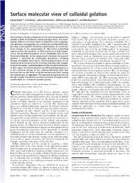 Surface Molecular View of Colloidal Gelation