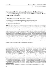 Molecular Identification and Antimicrobial Resistance of Escherichia Fergusonii and Escherichia Coli from Dairy Cattle with Diarrhoea