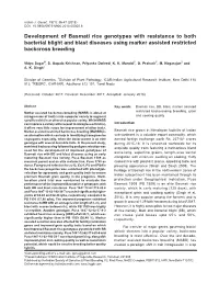 Development of Basmati Rice Genotypes with Resistance to Both Bacterial Blight and Blast Diseases Using Marker Assisted Restricted Backcross Breeding