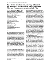 Type IV Pilin Structure and Assembly: X-Ray and EM Analyses of Vibrio Cholerae Toxin-Coregulated Pilus and Pseudomonas Aeruginosa PAK Pilin
