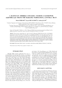 A Bajocian (Middle Jurassic) Marine Gastropod Assemblage from the Badamu Formation, Central Iran