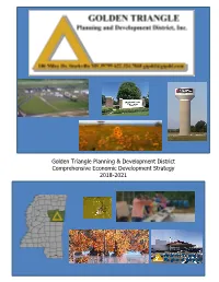 Golden Triangle Planning and Development Distirct