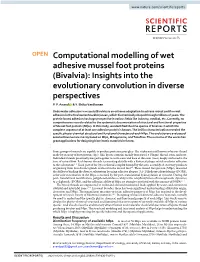 Computational Modelling of Wet Adhesive Mussel Foot Proteins (Bivalvia): Insights Into the Evolutionary Convolution in Diverse Perspectives P