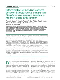 Differentiation of Banding Patterns Between Streptococcus Mutans And