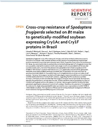 Cross-Crop Resistance of Spodoptera Frugiperda Selected on Bt Maize To