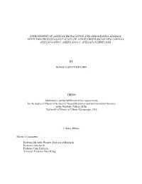 Improvement of Asexual Propagation and Anisogramma Anomala Detection Protocols to Facilitate Applied Breeding of New Corylus Avellana and C