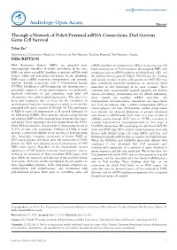 Through a Network of Polya-Proximal Mrna Connections, Dazl Governs Germ Cell Survival