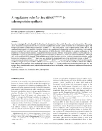 A Regulatory Role for Sec Trna in Selenoprotein Synthesis