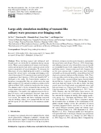 Large Eddy Simulation Modeling of Tsunami-Like Solitary Wave Processes Over Fringing Reefs