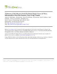 Taphonomy of the Ediacaran Fossil Pteridinium Simplex Preserved Three