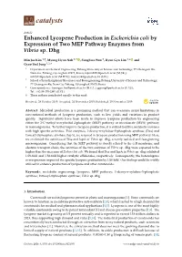 Enhanced Lycopene Production in Escherichia Coli by Expression of Two MEP Pathway Enzymes from Vibrio Sp
