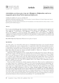 Hemiptera: Delphacidae) and Seven Congeneric Species from North American Delphacodes