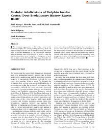 Modular Subdivisions of Dolphin Insular Cortex: Does Evolutionary History Repeat Itself?