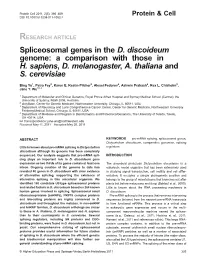 Spliceosomal Genes in the D. Discoideum Genome: a Comparison with Those in H