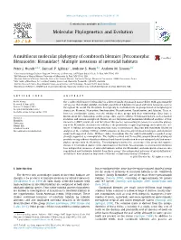 A Multilocus Molecular Phylogeny of Combtooth Blennies (Percomorpha: Blennioidei: Blenniidae): Multiple Invasions of Intertidal Habitats ⇑ Peter J