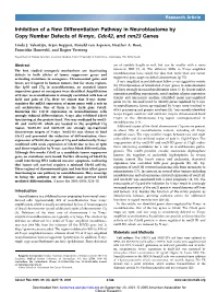 Inhibition of a New Differentiation Pathway in Neuroblastoma by Copy Number Defects of N-Myc, Cdc42, and Nm23 Genes